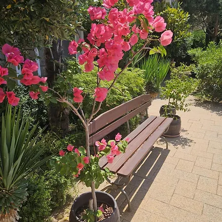 Messembria Palace Apartament